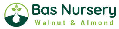 bas-nursery-logos